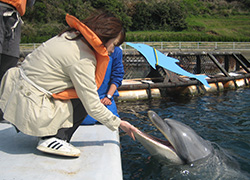 돌고래 파크