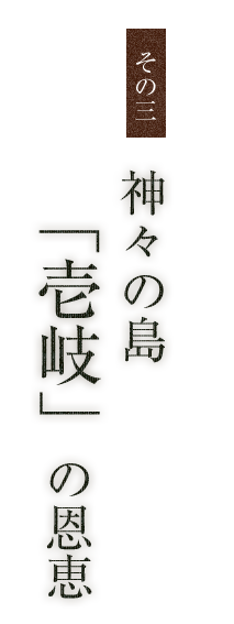 神々の島”壱岐”の恩恵