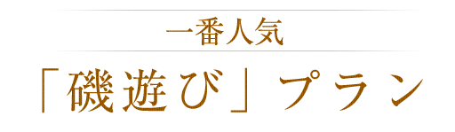 「磯遊び」プラン