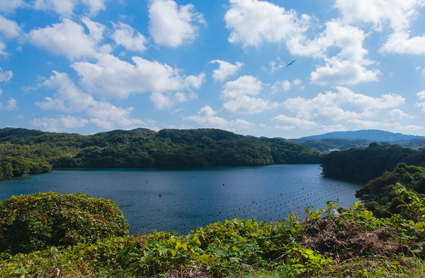 鳥居