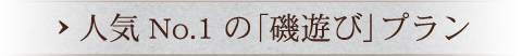 人気No.1の「磯遊び」プラン