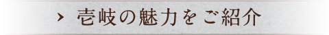 壱岐の魅力をご紹介